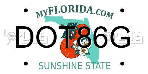 DOT86G Florida License Plate