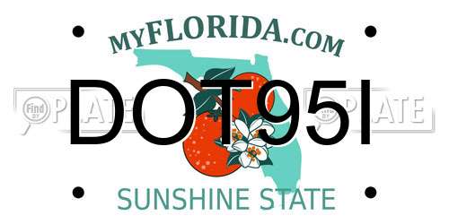 DOT95I Florida License Plate