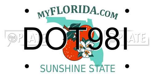 DOT98I Florida License Plate