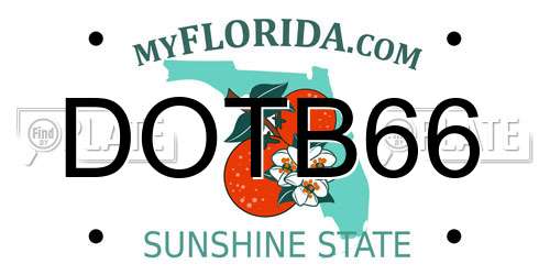 DOTB66 Florida License Plate