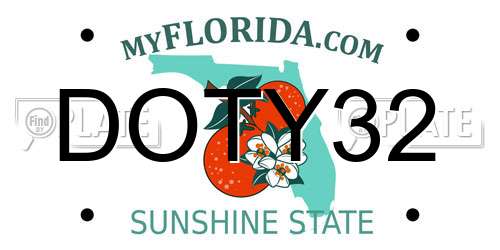 DOTY32 Florida License Plate