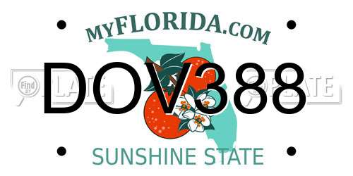 DOV388 Florida License Plate