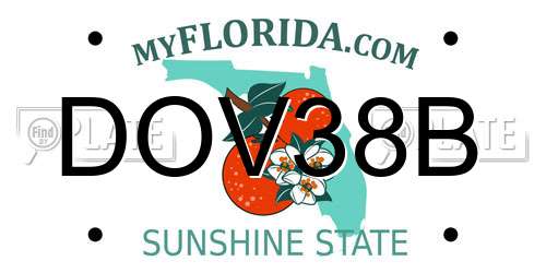 DOV38B Florida License Plate