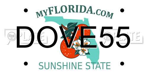 DOVE55 Florida License Plate