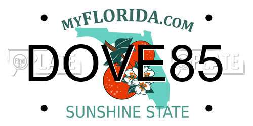 DOVE85 Florida License Plate