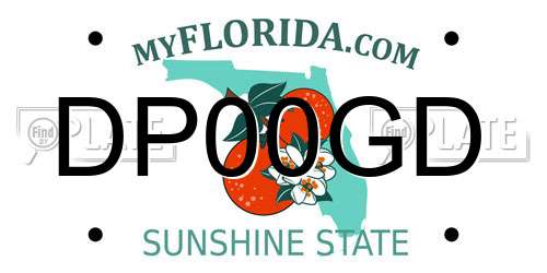 DP00GD Florida License Plate