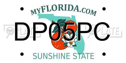 DP05PC Florida License Plate