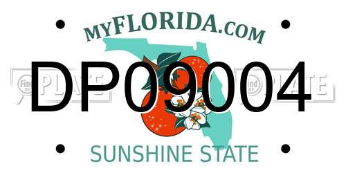 DP09004 Florida License Plate