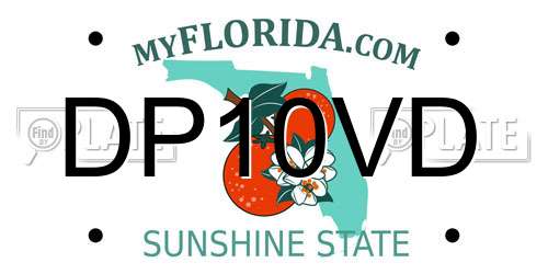 DP10VD Florida License Plate