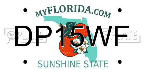 DP15WF Florida License Plate