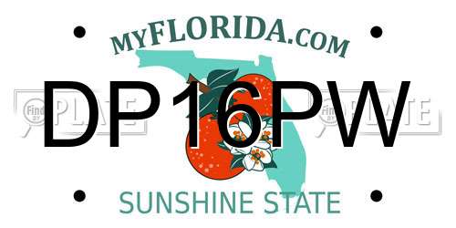 DP16PW Florida License Plate