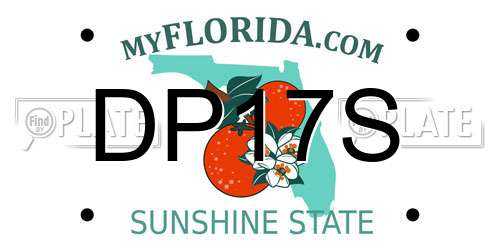 DP17S Florida License Plate
