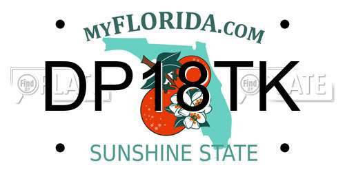 DP18TK Florida License Plate