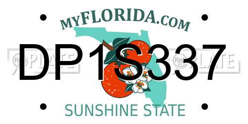 DP1S337 Florida License Plate