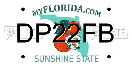DP22FB Florida License Plate