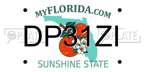 DP31ZI Florida License Plate