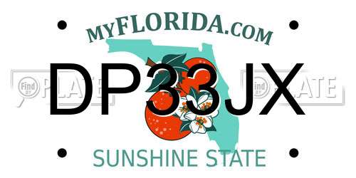 DP33JX Florida License Plate