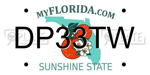 DP33TW Florida License Plate