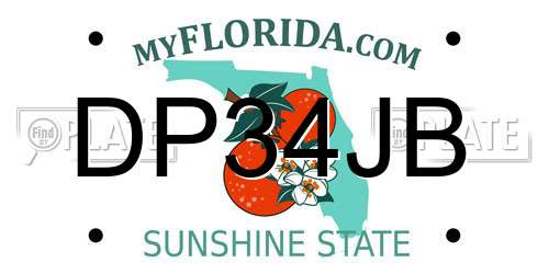 DP34JB Florida License Plate
