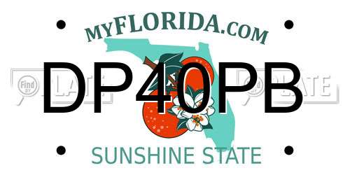 DP40PB Florida License Plate