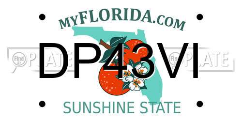 DP43VI Florida License Plate