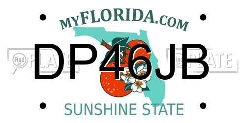 DP46JB Florida License Plate