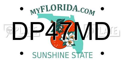 DP47MD Florida License Plate