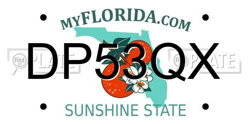 DP53QX Florida License Plate