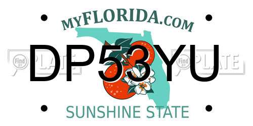 DP53YU Florida License Plate