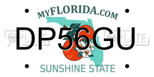 DP56GU Florida License Plate