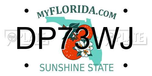 DP73WJ Florida License Plate