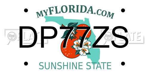 DP77ZS Florida License Plate