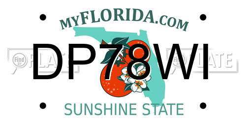 DP78WI Florida License Plate