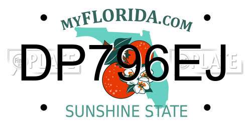 DP796EJ Florida License Plate