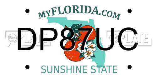 DP87UC Florida License Plate