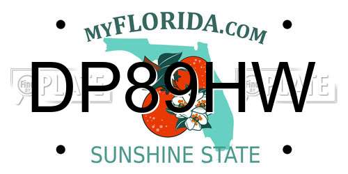 DP89HW Florida License Plate