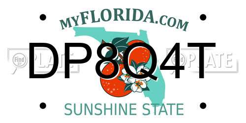 DP8Q4T Florida License Plate