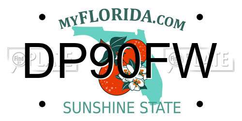 DP90FW Florida License Plate