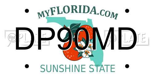 DP90MD Florida License Plate