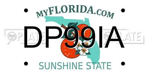 DP99IA Florida License Plate