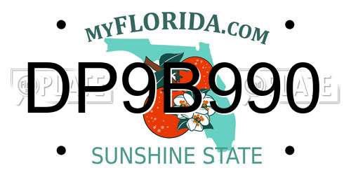 DP9B990 Florida License Plate