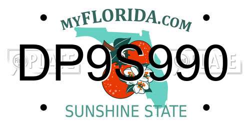 DP9S990 Florida License Plate