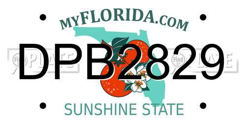 DPB2829 Florida License Plate