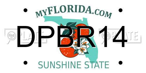 DPBR14 Florida License Plate