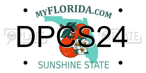 DPCS24 Florida License Plate