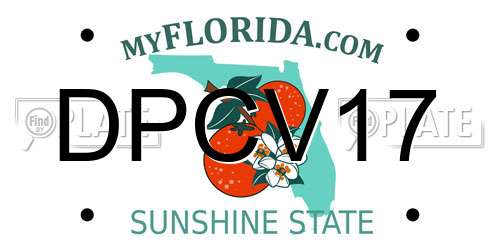 DPCV17 Florida License Plate