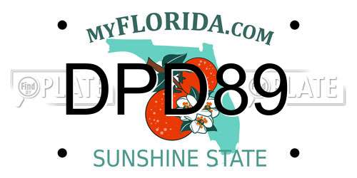 DPD89 Florida License Plate