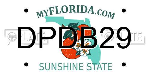 DPDB29 Florida License Plate
