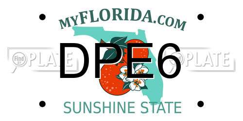 DPE6 Florida License Plate