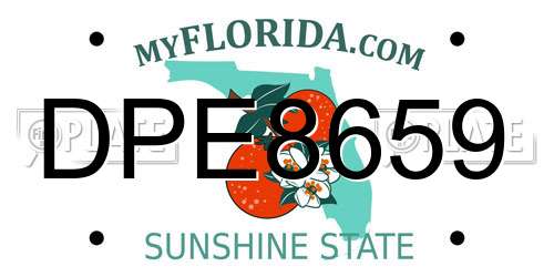 DPE8659 Florida License Plate